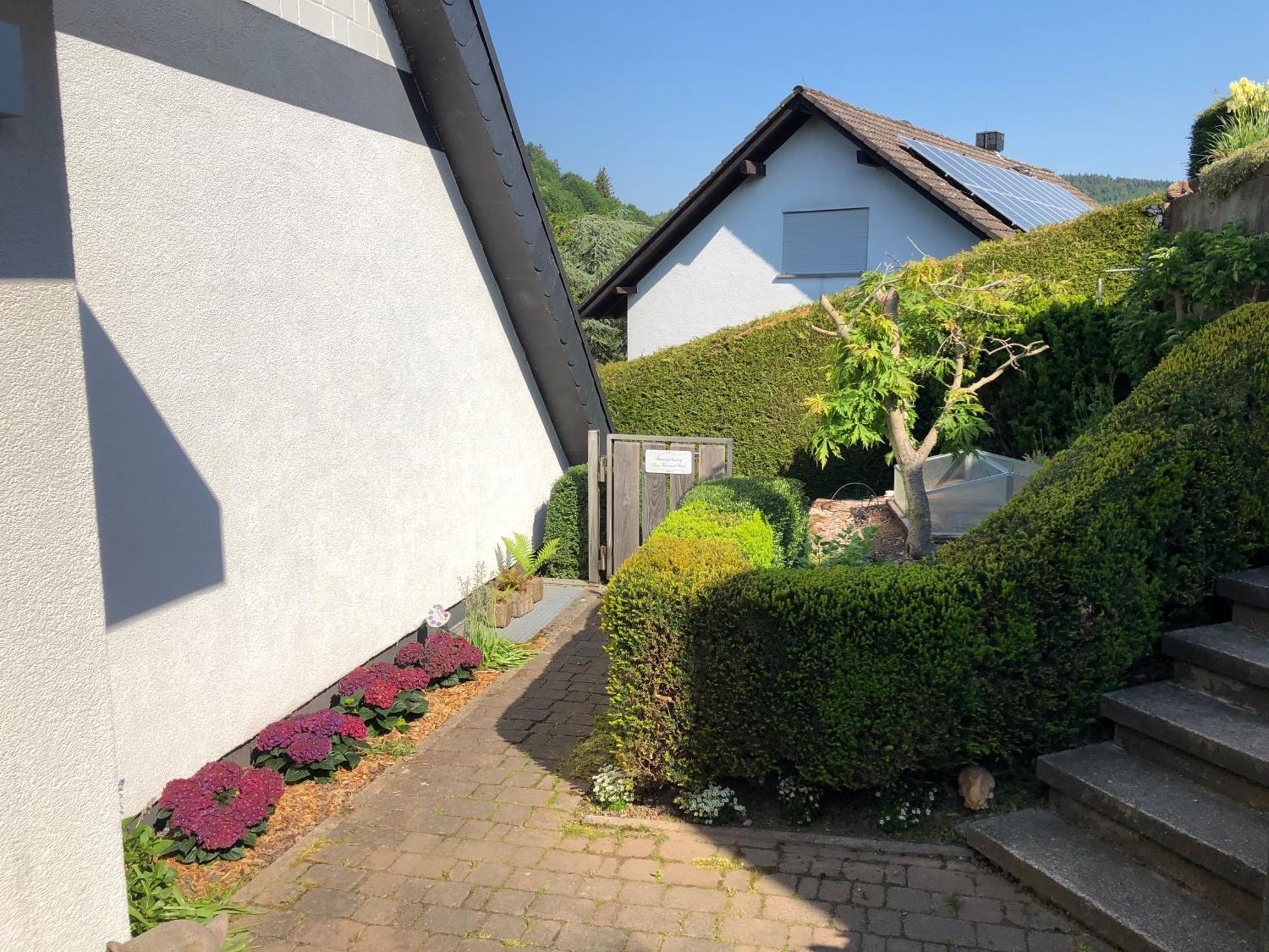 Burg Freienstein Blick 4 Sterne Mit Sauna Gammelsbach 외부 사진